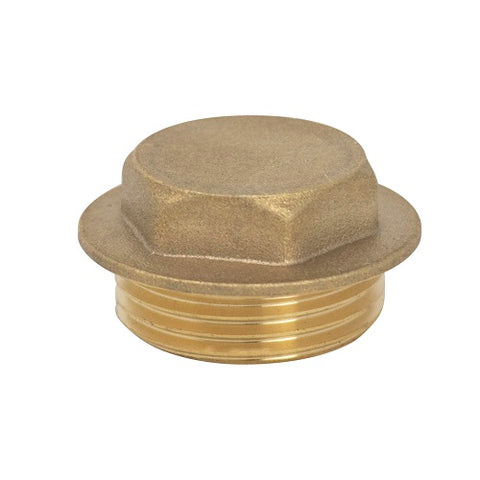 1/4" BRASS FLANGE PLUG