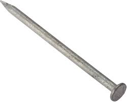 CLOUT NAILS 500g GALV 25mm